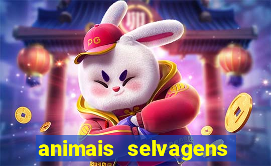 animais selvagens fotos e nomes